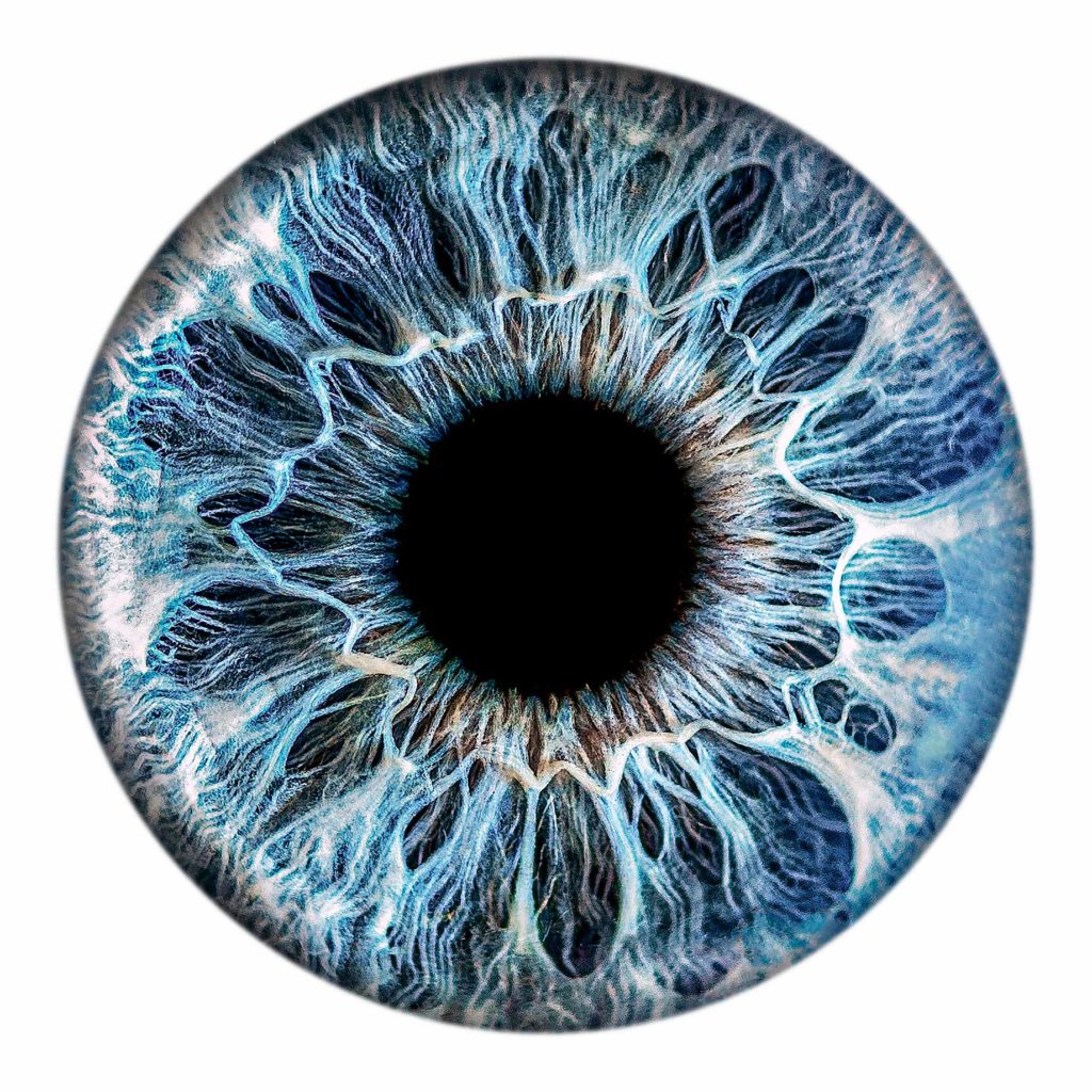 Close up blue iris for iridology analysis